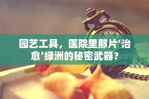 园艺工具，医院里那片‘治愈’绿洲的秘密武器？