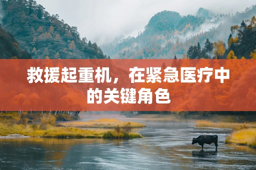 救援起重机，在紧急医疗中的关键角色