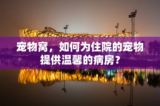 宠物窝，如何为住院的宠物提供温馨的病房？