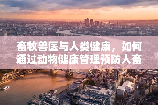 畜牧兽医与人类健康，如何通过动物健康管理预防人畜共患病？