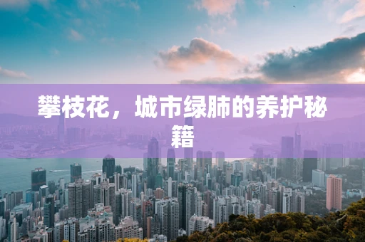 攀枝花，城市绿肺的养护秘籍