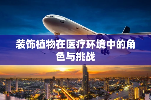 装饰植物在医疗环境中的角色与挑战