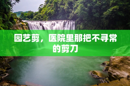 园艺剪，医院里那把不寻常的剪刀
