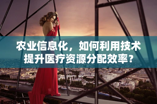 农业信息化，如何利用技术提升医疗资源分配效率？