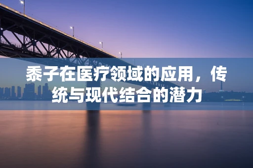 黍子在医疗领域的应用，传统与现代结合的潜力