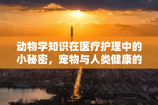 动物学知识在医疗护理中的小秘密，宠物与人类健康的关系