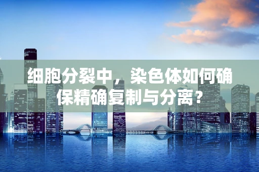 细胞分裂中，染色体如何确保精确复制与分离？