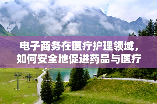 电子商务在医疗护理领域，如何安全地促进药品与医疗用品的在线交易？