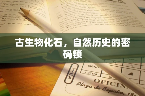 古生物化石，自然历史的密码锁