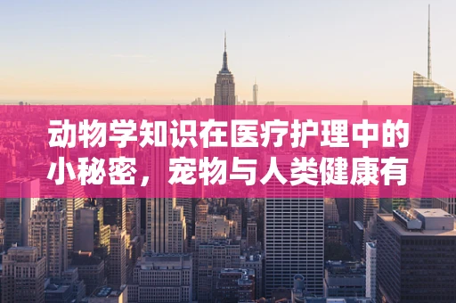 动物学知识在医疗护理中的小秘密，宠物与人类健康有何异同？