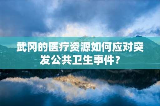 武冈的医疗资源如何应对突发公共卫生事件？