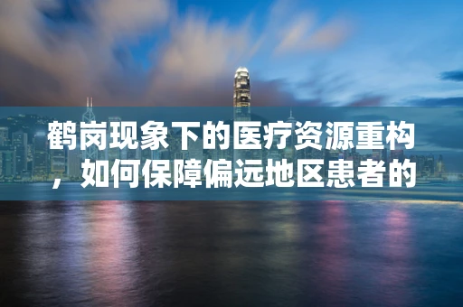 鹤岗现象下的医疗资源重构，如何保障偏远地区患者的就医需求？