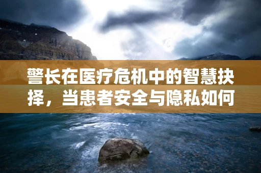 警长在医疗危机中的智慧抉择，当患者安全与隐私如何两全其美？
