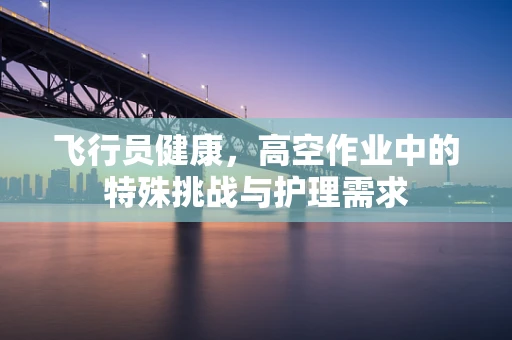 飞行员健康，高空作业中的特殊挑战与护理需求