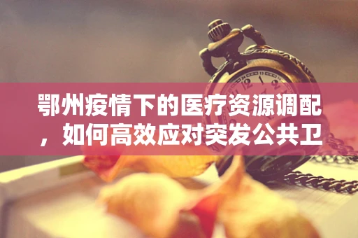 鄂州疫情下的医疗资源调配，如何高效应对突发公共卫生事件？