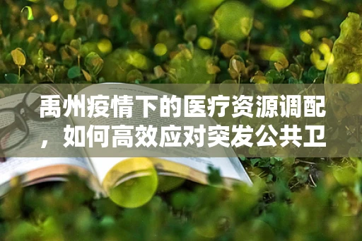 禹州疫情下的医疗资源调配，如何高效应对突发公共卫生事件？