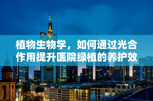 植物生物学，如何通过光合作用提升医院绿植的养护效率？