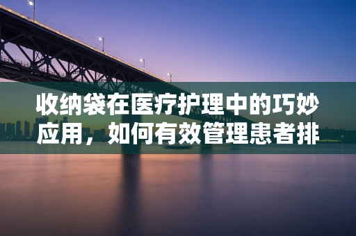 收纳袋在医疗护理中的巧妙应用，如何有效管理患者排泄物？