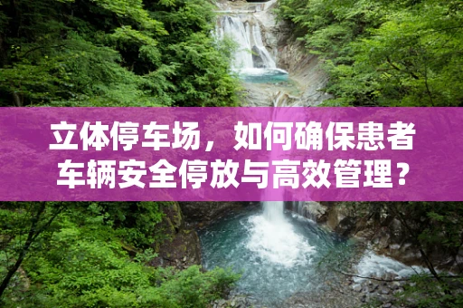 立体停车场，如何确保患者车辆安全停放与高效管理？