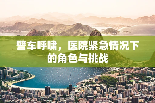 警车呼啸，医院紧急情况下的角色与挑战