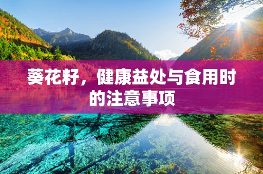 葵花籽，健康益处与食用时的注意事项