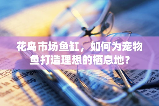 花鸟市场鱼缸，如何为宠物鱼打造理想的栖息地？