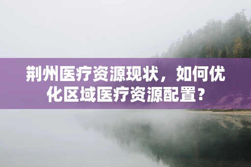 荆州医疗资源现状，如何优化区域医疗资源配置？