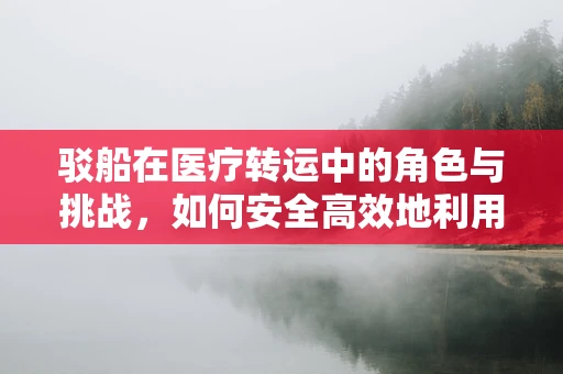 驳船在医疗转运中的角色与挑战，如何安全高效地利用驳船进行紧急医疗物资运输？