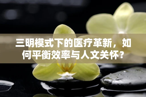 三明模式下的医疗革新，如何平衡效率与人文关怀？