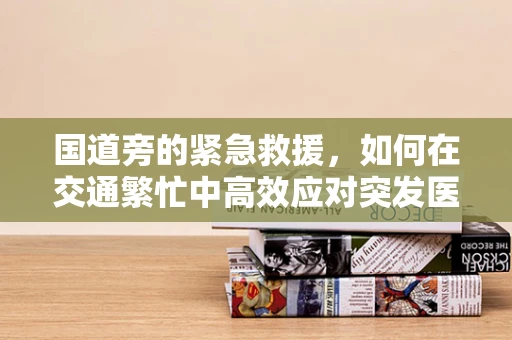 国道旁的紧急救援，如何在交通繁忙中高效应对突发医疗事件？