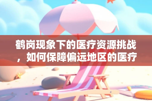 鹤岗现象下的医疗资源挑战，如何保障偏远地区的医疗服务？