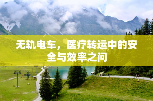无轨电车，医疗转运中的安全与效率之问
