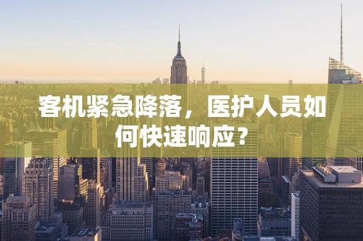 客机紧急降落，医护人员如何快速响应？