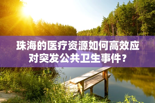 珠海的医疗资源如何高效应对突发公共卫生事件？