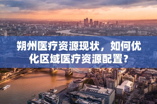 朔州医疗资源现状，如何优化区域医疗资源配置？
