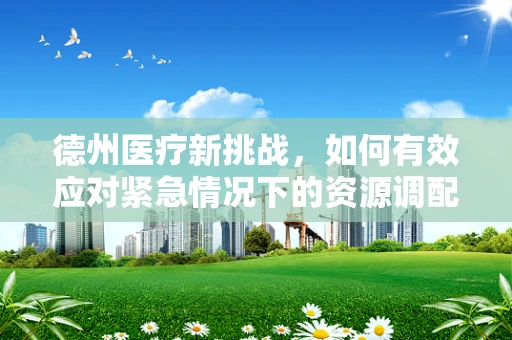 德州医疗新挑战，如何有效应对紧急情况下的资源调配？