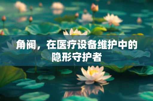 角阀，在医疗设备维护中的隐形守护者