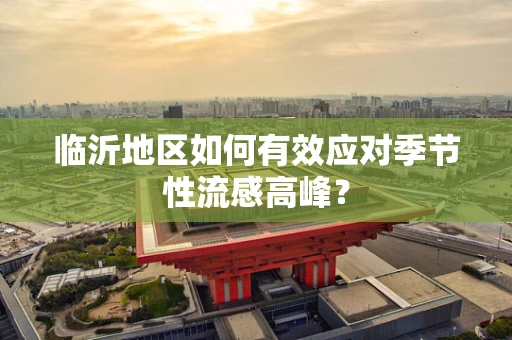 临沂地区如何有效应对季节性流感高峰？