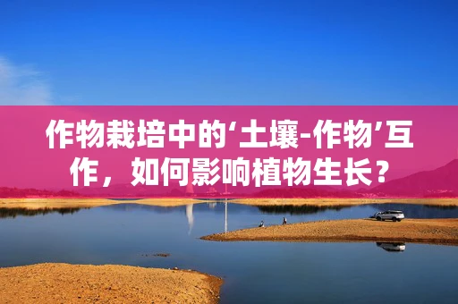 作物栽培中的‘土壤-作物’互作，如何影响植物生长？