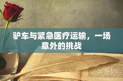 驴车与紧急医疗运输，一场意外的挑战