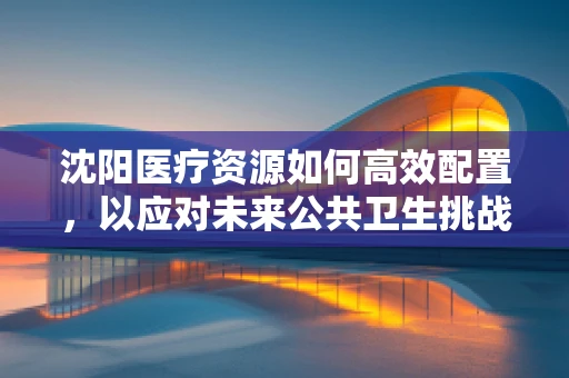 沈阳医疗资源如何高效配置，以应对未来公共卫生挑战？