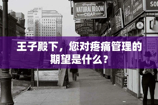 王子殿下，您对疼痛管理的期望是什么？