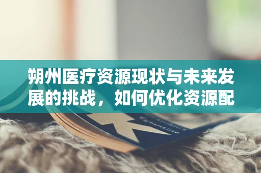 朔州医疗资源现状与未来发展的挑战，如何优化资源配置？