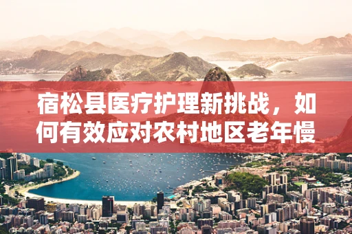 宿松县医疗护理新挑战，如何有效应对农村地区老年慢性病管理？