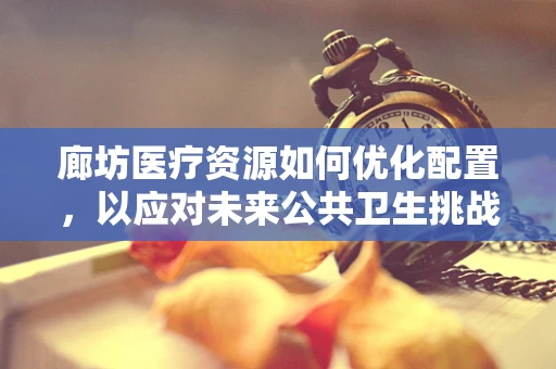 廊坊医疗资源如何优化配置，以应对未来公共卫生挑战？