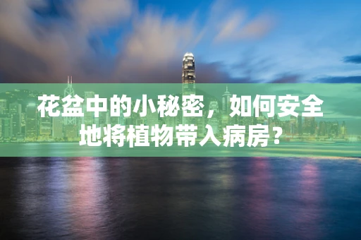 花盆中的小秘密，如何安全地将植物带入病房？