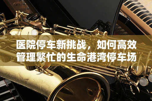 医院停车新挑战，如何高效管理繁忙的生命港湾停车场？