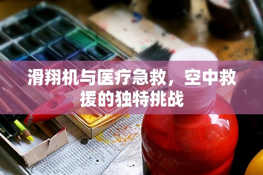 滑翔机与医疗急救，空中救援的独特挑战