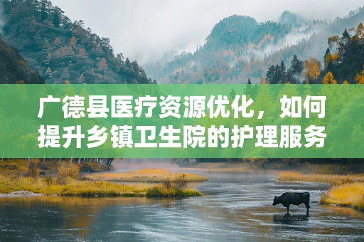 广德县医疗资源优化，如何提升乡镇卫生院的护理服务质量？
