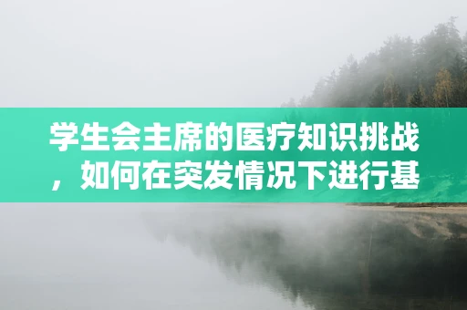 学生会主席的医疗知识挑战，如何在突发情况下进行基础急救？